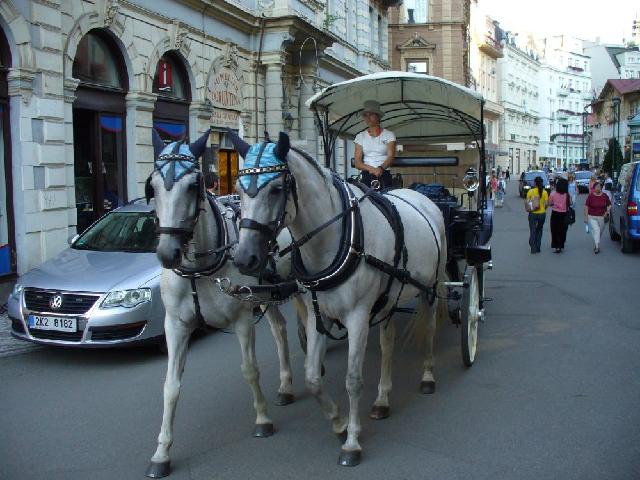 Ohře-Otava 2008 > obr (68)